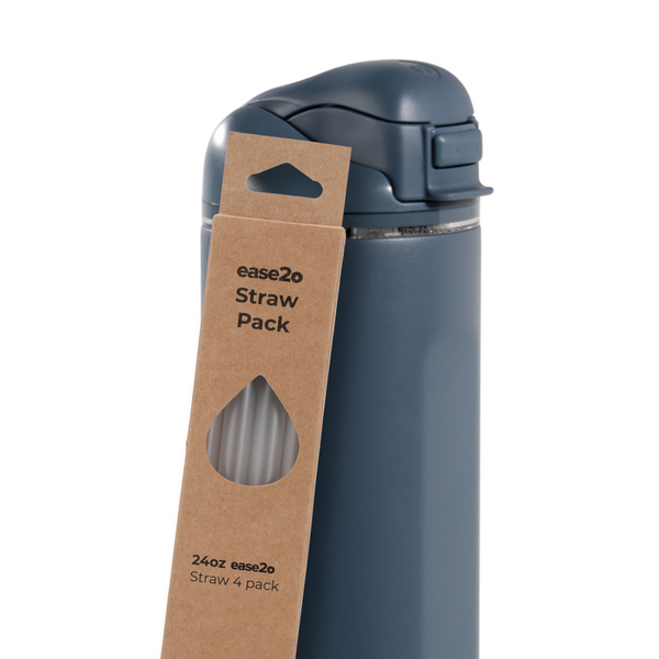 Ease2o Straws 4 Pack 24oz v4218