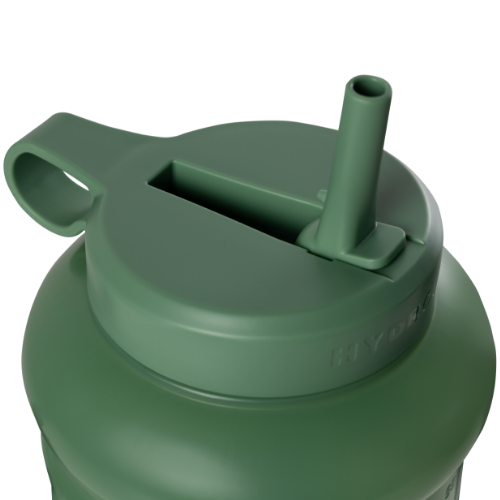 Sage v4069
